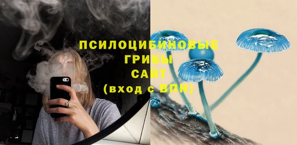 ECSTASY Богородск