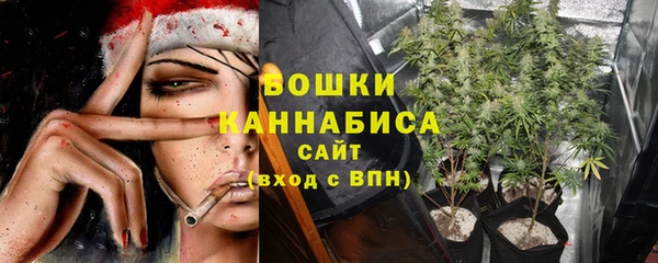 мяу мяу кристалл Богданович