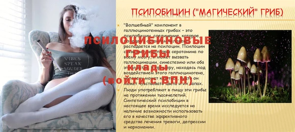 прущая мука Богородицк
