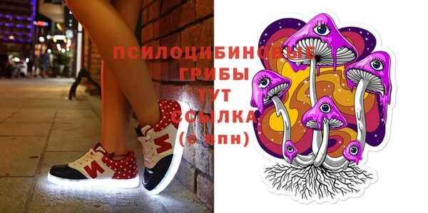 ECSTASY Богородск