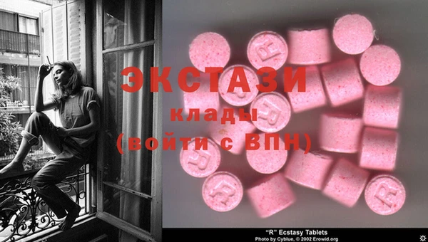 ECSTASY Богородск