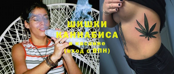 прущая мука Богородицк
