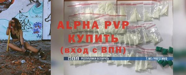 ECSTASY Богородск