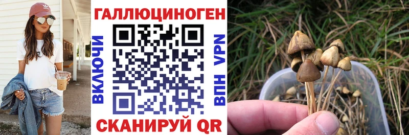 Галлюциногенные грибы Psilocybe  Купить  Нурлат 